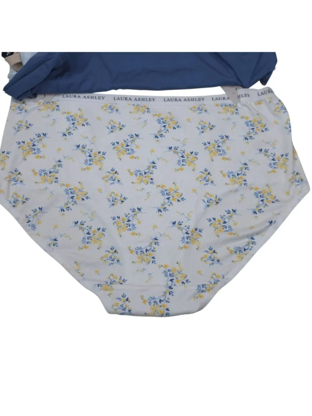 Laura Ashley Womens Size 2X 5-Pack Panties Briefs Super Soft Polyester Spandex